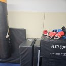 포항레슬링 팀헐크 이미지