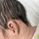 키즈드림아이엠씨병원 네이버블로그