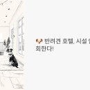 조이힐펜션 | 🐶 반려견 호텔, 시설 안 보면 후회한다!