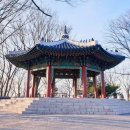 한국코다이협회(회장 조홍기),참여형 야외 음악축제-2026.8월 21일,22.23.남산공원 팔각광장,여의도 한강공원,청계천광장 이미지