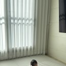 (주)모모스 이미지