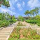 아라파크 이미지