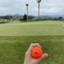 거제 드비치 골프클럽 | 바다뷰 실화냐! 거제 드비치골프클럽 라운딩 후기