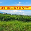 여미지공인중개사사무소 이미지