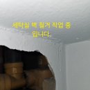 그린아파트 114동 408호 세탁실 비트속 하수관 누수 공사.티자 부분 에서 싱크대 와 세탁실 배수관 이 연결 되어 메인관 쪽으로 연결 이미지