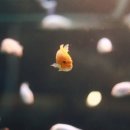 석불산 | 드라마촬영지 다녀온 후기 석불산 영상랜드