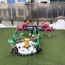 오드아이키즈풀빌라 이미지