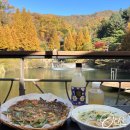 광주 화담숲 식당 번지없는주막 해물파전 막걸리 어묵 우동 김밥 밥집