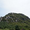 금정-8 이미지