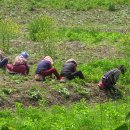 고인돌 박물관 이미지