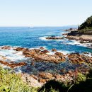 동양자동차정비 | 삼척 여행지 베스트 7