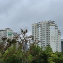 대우공인중개사사무소 | [공지] 왜 대우공인중개사사무소인가요?