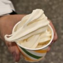 동편마을1단지_하 | 인덕원맛집 회식 모임 장소 추천 제주도 오성급 삼겹살 제오오 동편마을점 후기