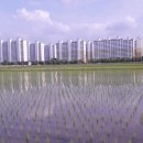 모가우체국 이미지