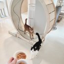 묘릉도원 이미지