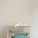 마음을 담은 플라워박스 | 기념일에 특별함을 더해주는 구미꽃집 마음을담다, 플라워박스와 꽃다발 후기