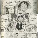 작가가 말하는 해적왕이란 무엇인가 ? 이미지