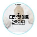 (주)디투솔루션 | 고양이관절을 지켜주는 고양이매트! 이제 디팡캣매트로 걱정을 덜어요~