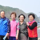 영천시화남면안천보건진료소 | 400년 넘는 고목이 마을보호, 국가공무원 37명 배출 화남면 안천마을