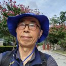 무풍시장 이미지