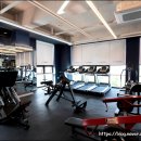 바디라인업 이미지