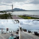 개를 품은 남자 이미지