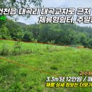 대곡농장 티스토리