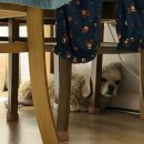 본동물메디컬센터 24시수성점 이미지