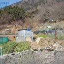 노변주유소 이미지