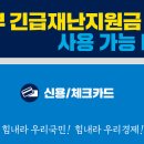 긴급재난지원금(신용카드) 사용 가능 이미지