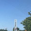 [신안 낙지 맛집] 신안 압해도 낙지 축제 후기 | 탕탕이 먹는거 아니였냐고..!