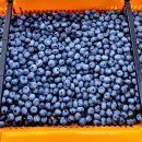 금척상리 이미지