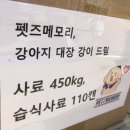 강이랑아지랑 이미지