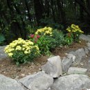 장산약수터 이미지