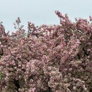 단양배드민턴장 이미지