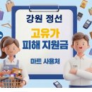 강원식자재마트 | 정선 고유가지원금 사용 가능한 마트 사용처