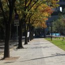 벌막공원 이미지