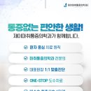 허리편안통증의학과 네이버블로그