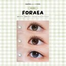 다비치안경서현점 이미지