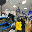 GS25 노량진수산시장점 | 노량진 수산시장 줄포상회 예약 방법 • 위치 (내돈내산) | 회 포장해서 한강 피크닉 간 후기