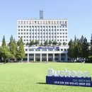 카이스트 이미지