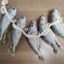 자연산민어 가격떨어졌습니다!! 중갈치, 20미 30미 40미 병어, 덕자, 밴댕이 육젓, 새우젓, 간고등어 부세보리굴비, 영광굴비 판매 이미지