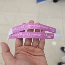 주류박스 | 수원 주류박람회 얼리버드 참석 후기