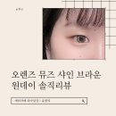 제광경로당 | 오렌즈 뮤즈 샤인 브라운 원데이｜자연광 vs 실내 착용 비교 내돈내산 솔직후기
