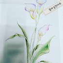 마실천 이미지