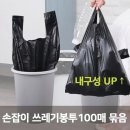 에버그린 이미지