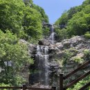 고헌농장 | 21년 영남알프스 9봉 완등 + 등산초보 후기