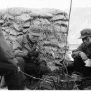 109행정사사무소 이미지