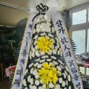 장성꽃배달서비스