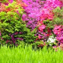 석화촌